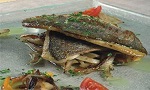 ΚΥΡΙΩΣ
